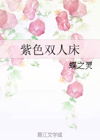 紫色双人床 封面