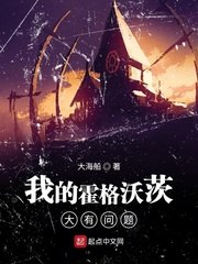 我的霍格沃茨大有问题 封面