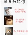 我五行缺你 封面