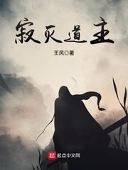 寂灭道主 封面