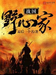 战国野心家 封面