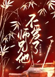师兄他不爱了 封面